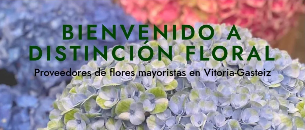 Distinción Floral: flores y portada distinción floral