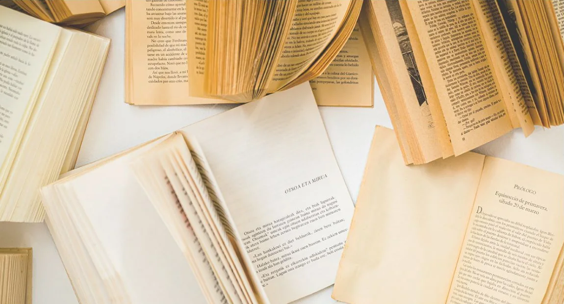 Librería Lilura: composición de libros de la portada